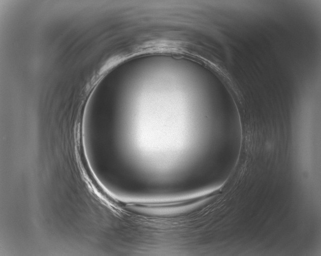 X0000086251383200703291355