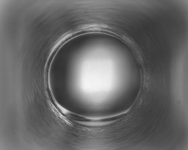 X0000086251384200703291355