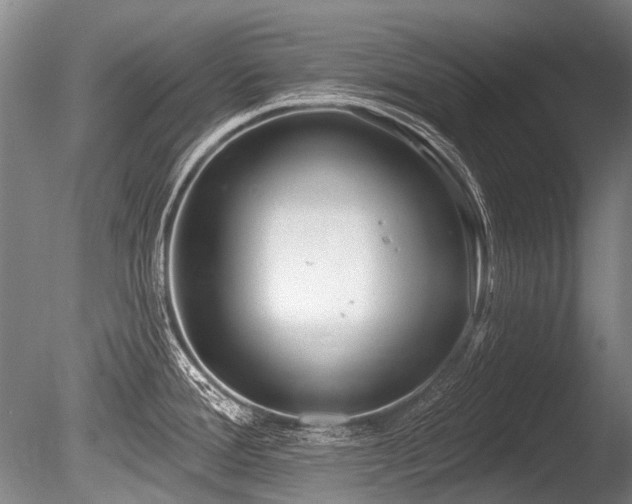 X0000086251388200703291355