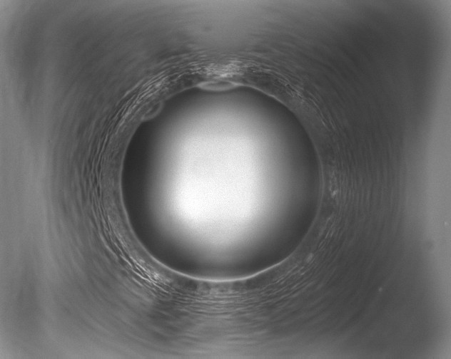 X0000086251393200703291354