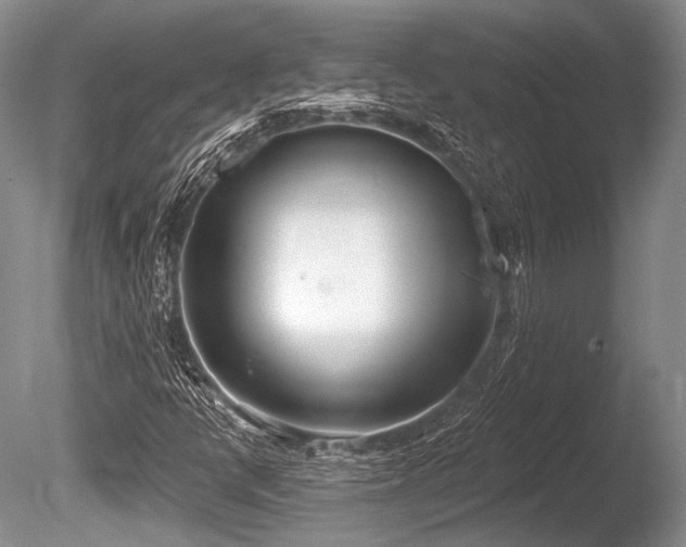 X0000086251398200703291354