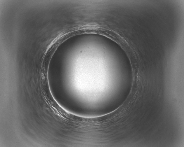 X0000086251400200703291354