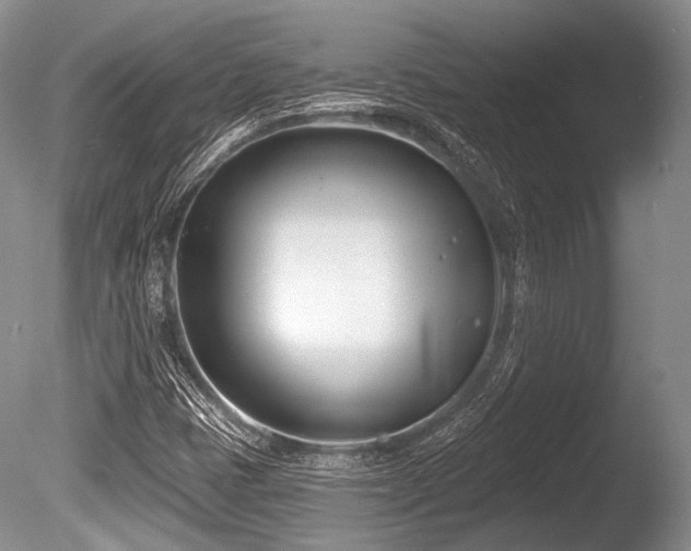 X0000086251401200703291354