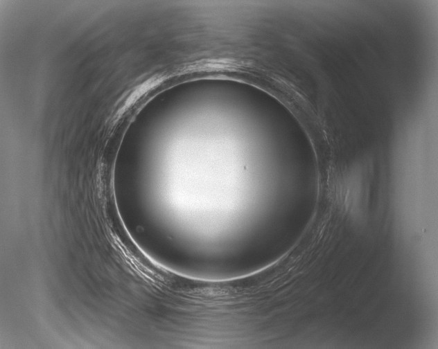 X0000086251404200703291354