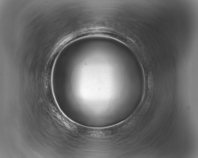 X0000086251405200703291354