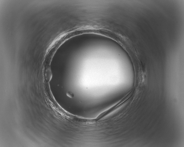 X0000086251406200703291354