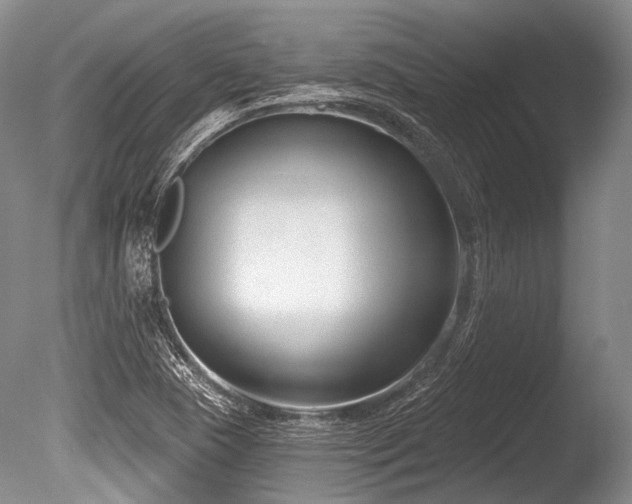 X0000086251409200703291354