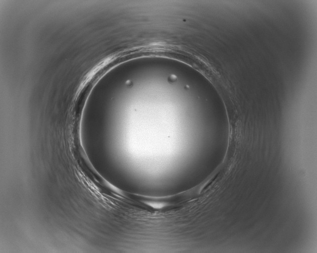 X0000086251410200703291354
