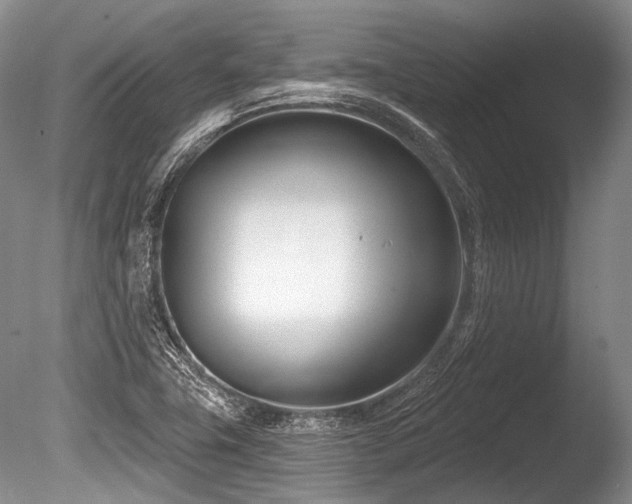 X0000086251411200703291354
