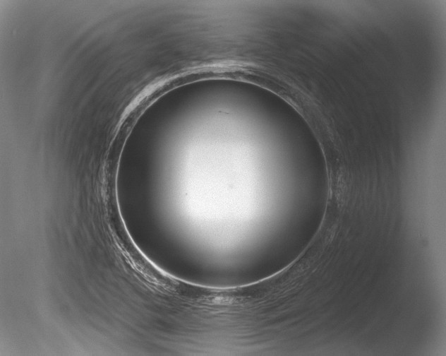 X0000086251412200703291354
