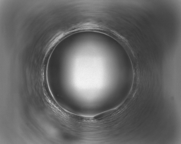 X0000086251415200703291354