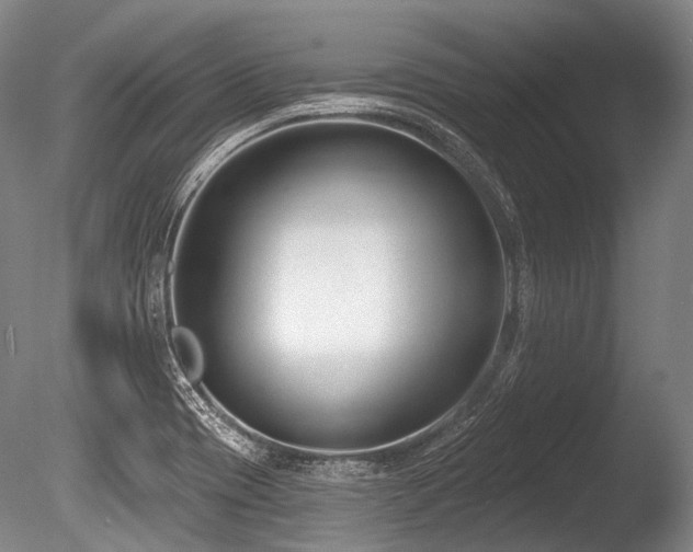 X0000086251417200703291354