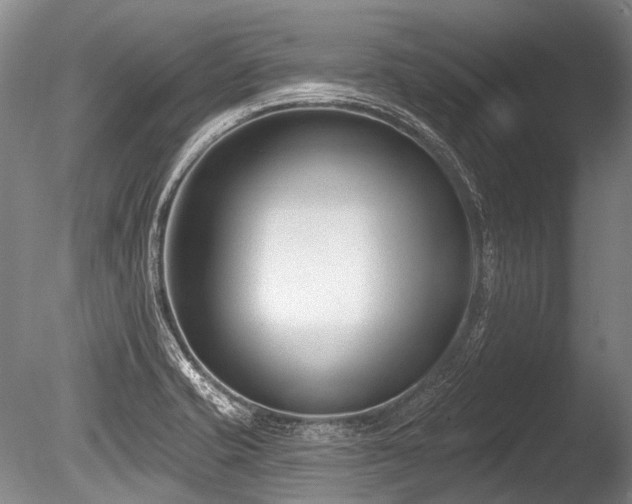 X0000086251421200703291354