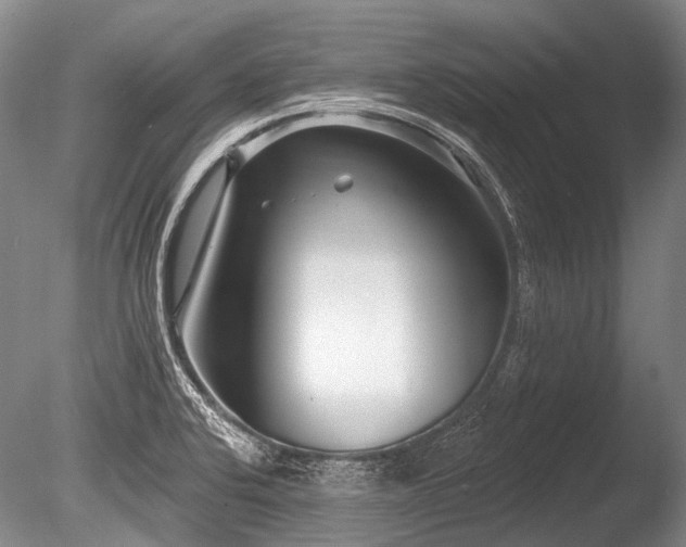 X0000086251424200703291354