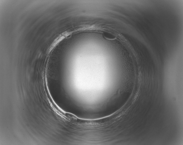 X0000086251425200703291354