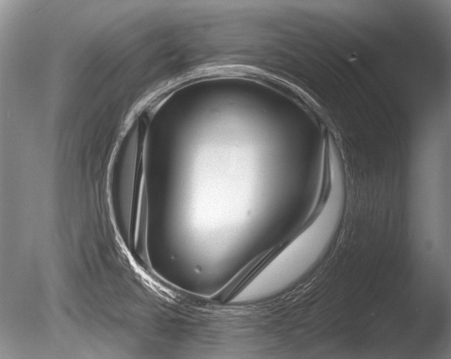 X0000086251430200703291354