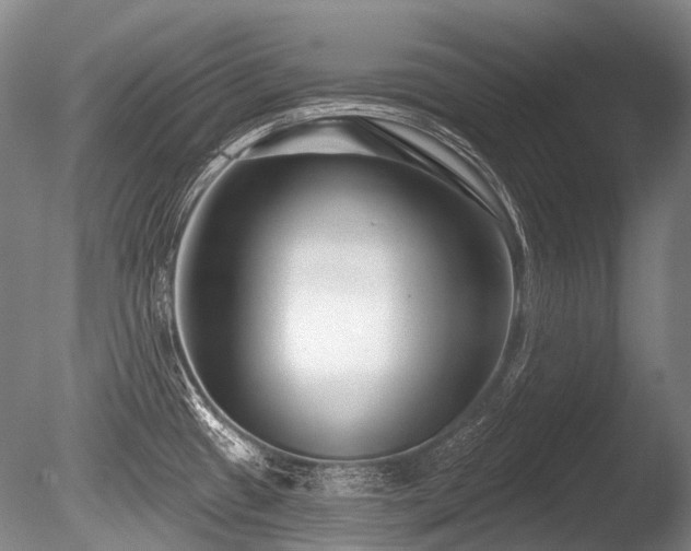 X0000086251433200703291355