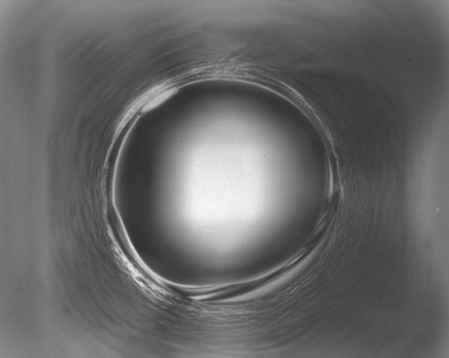 X0000086251434200703291355
