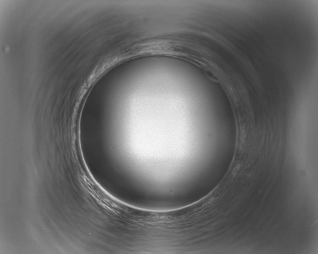 X0000086251435200703291355