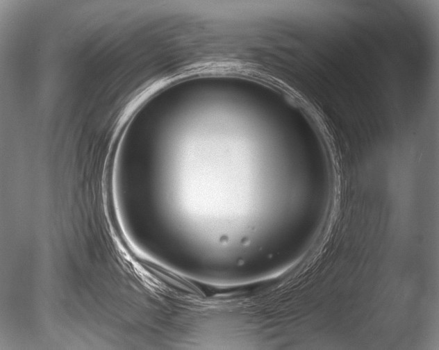 X0000086251440200703291355