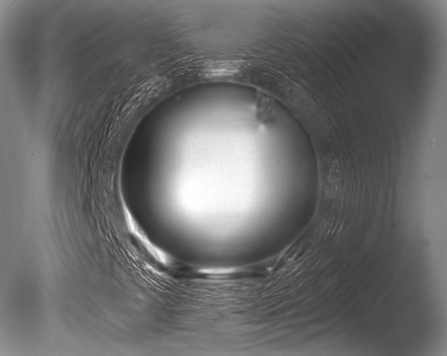 X0000086251441200703291354