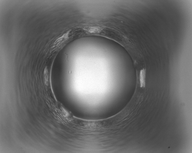 X0000086251443200703291354