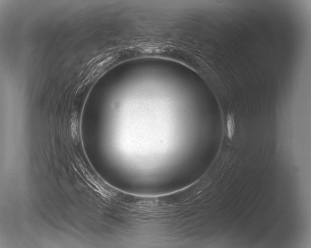 X0000086251444200703291354