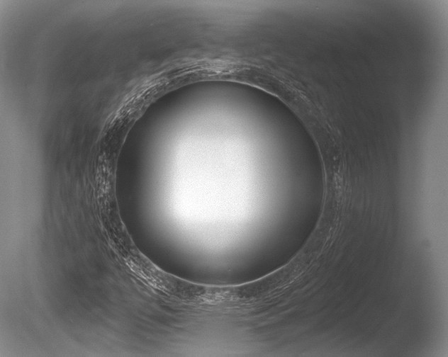 X0000086251447200703291354