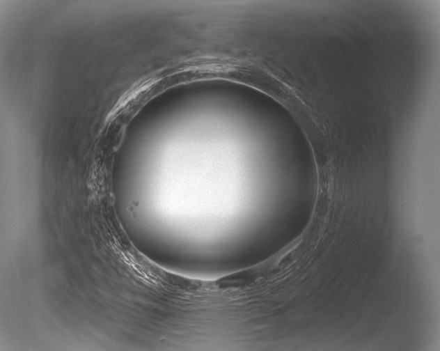 X0000086251448200703291354