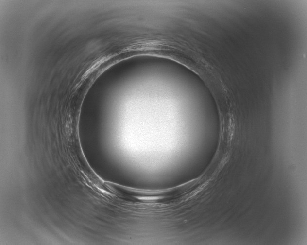 X0000086251449200703291354