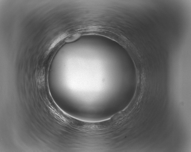 X0000086251450200703291354