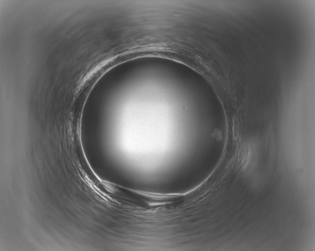 X0000086251452200703291354