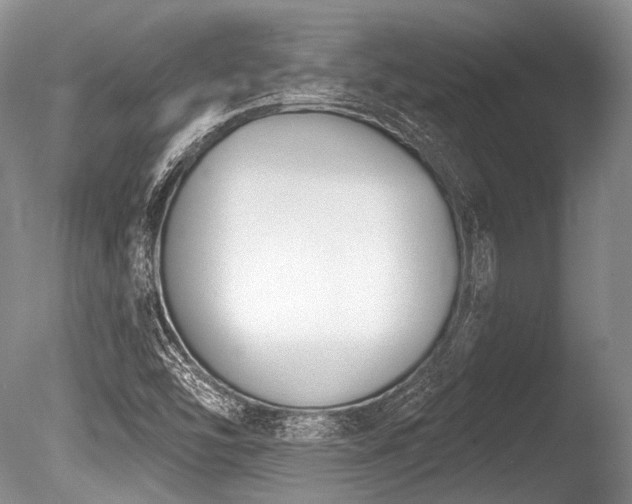 X0000086251454200703291354