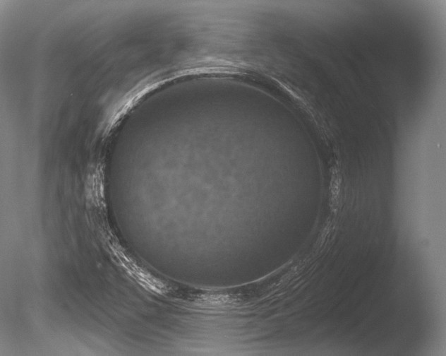 X0000086251455200703291354