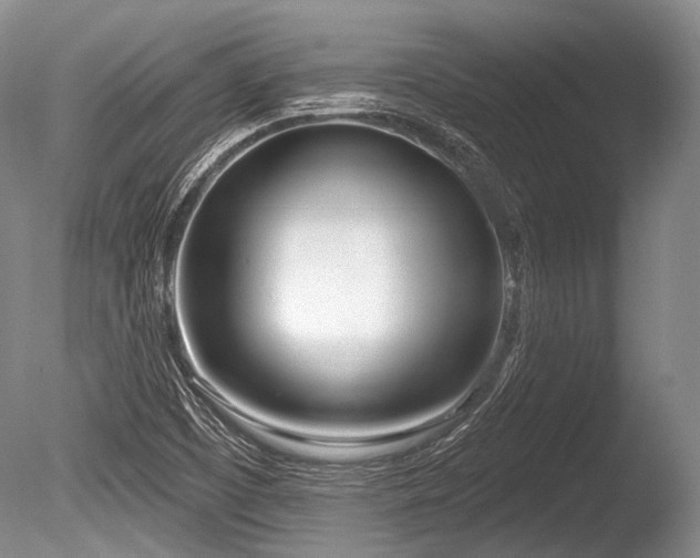 X0000086251457200703291354