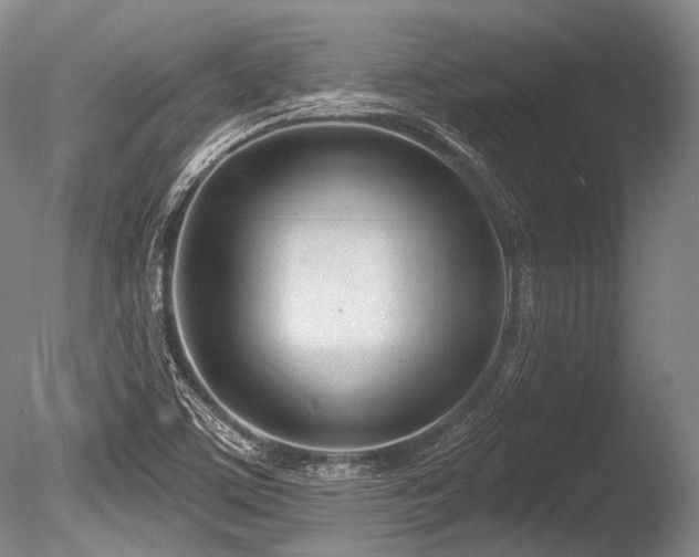 X0000086251459200703291354