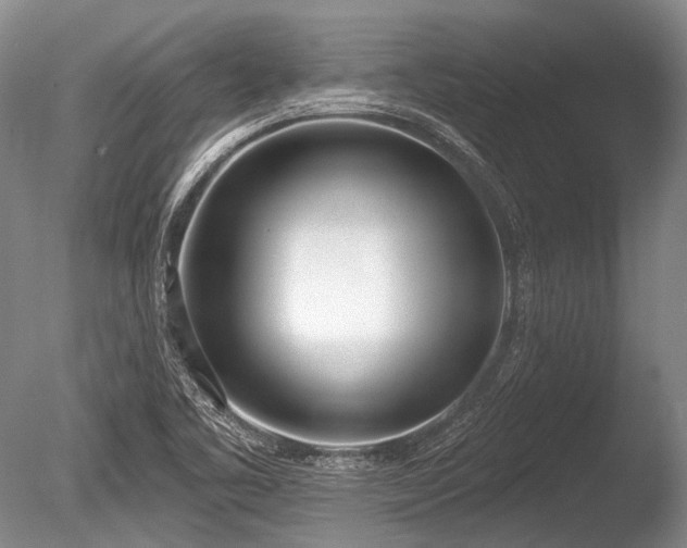 X0000086251461200703291353