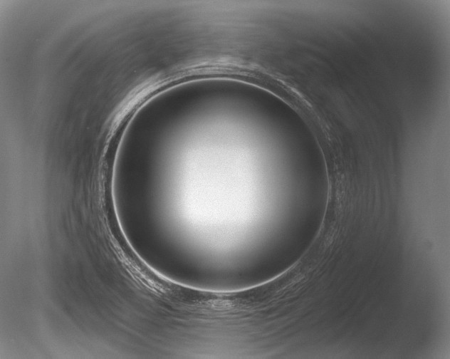 X0000086251463200703291353
