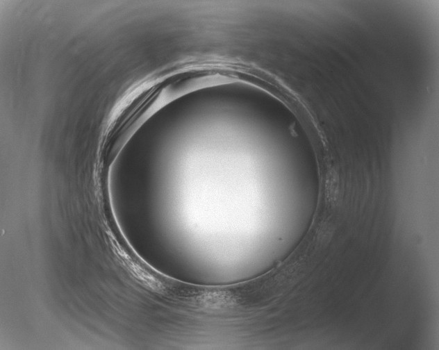 X0000086251464200703291353