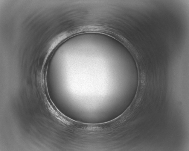 X0000086251466200703291353