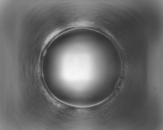 X0000086251469200703291353