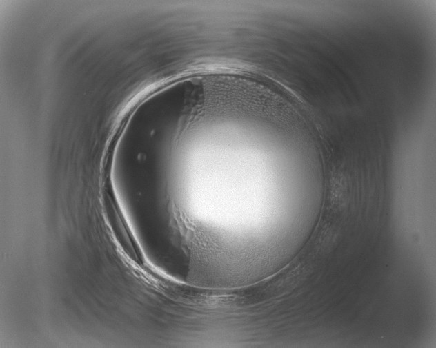 X0000086251471200703291353