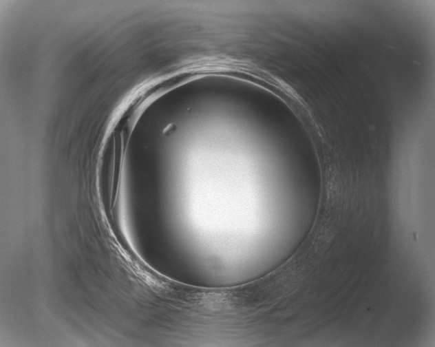 X0000086251472200703291353