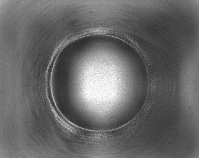 X0000086251475200703291353