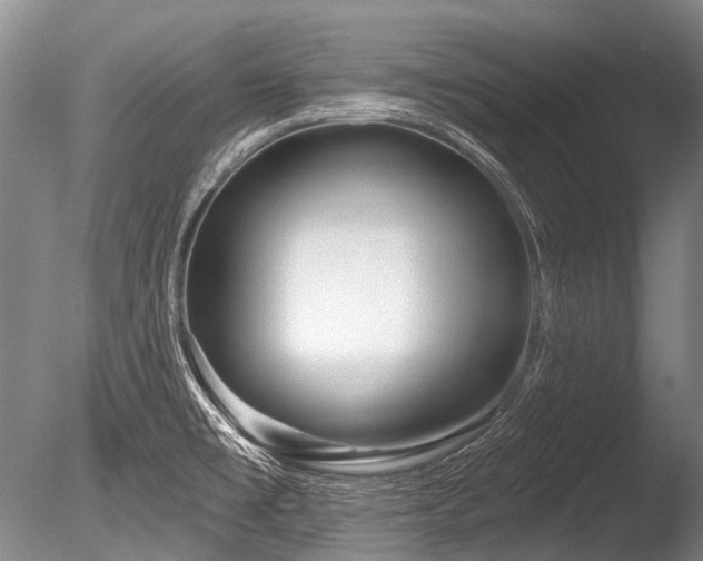 X0000086251477200703291353