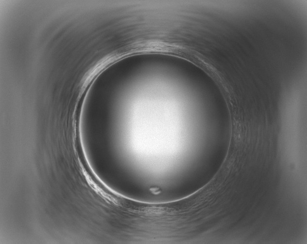 X0000086251479200703291353