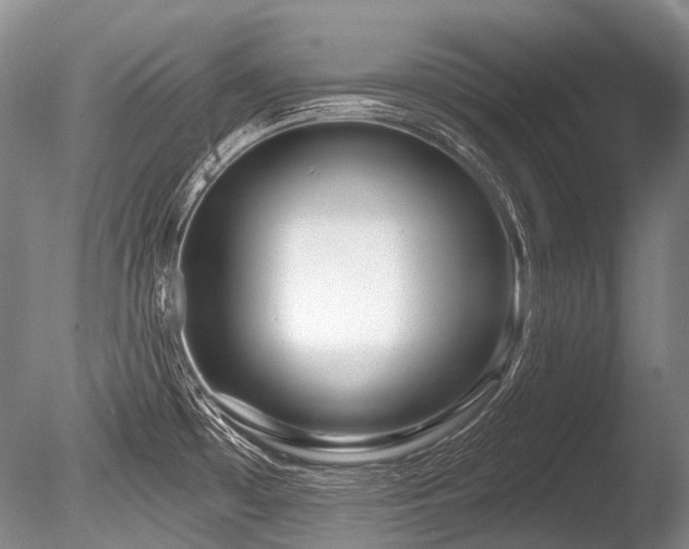 X0000086251481200703291353
