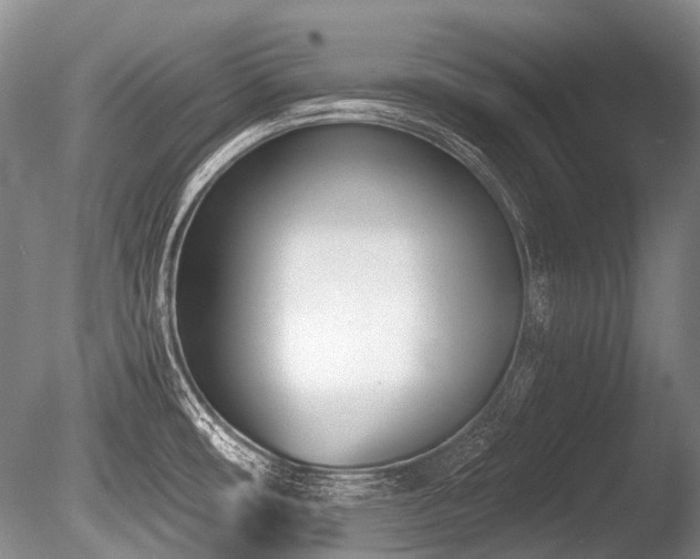 X0000086251482200703291353