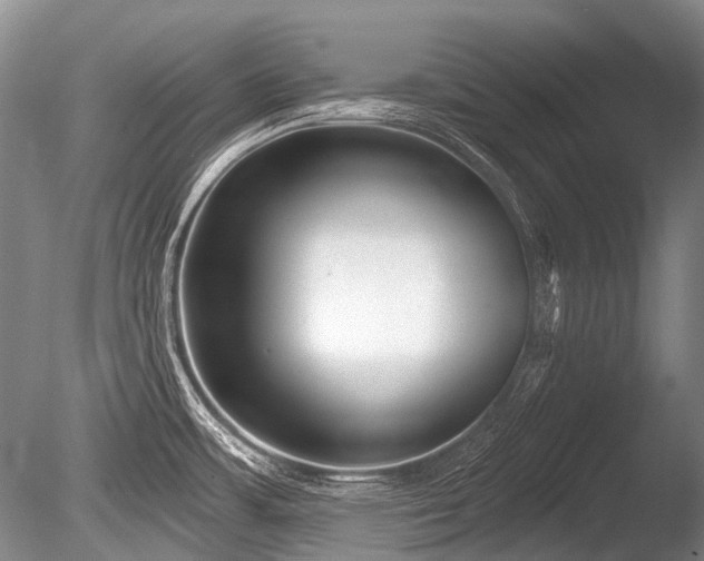 X0000086251483200703291353