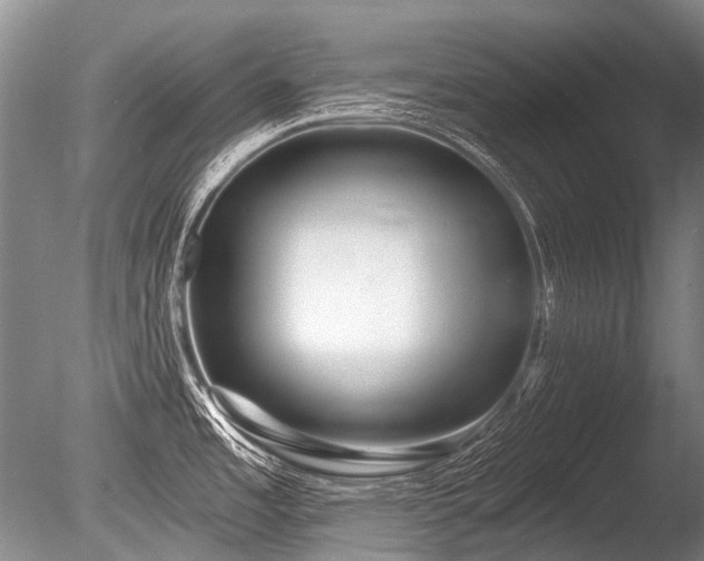 X0000086251485200703291353